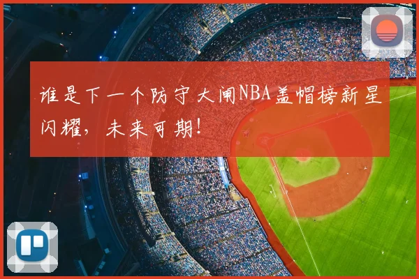 谁是下一个防守大闸NBA盖帽榜新星闪耀，未来可期！