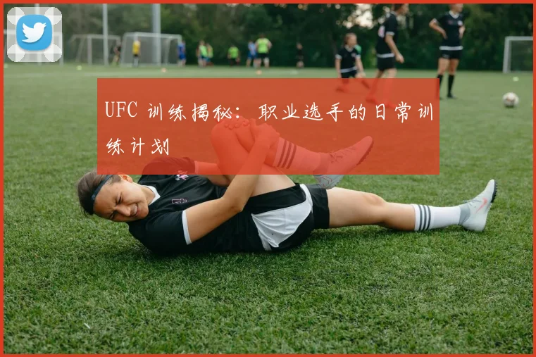 UFC 训练揭秘：职业选手的日常训练计划