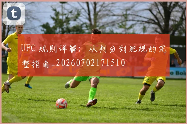 UFC 规则详解：从判分到犯规的完整指南_20260702171510