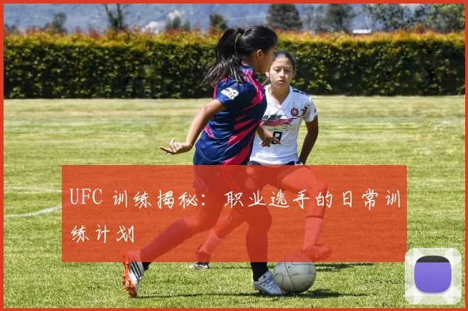 UFC 训练揭秘:职业选手的日常训练计划